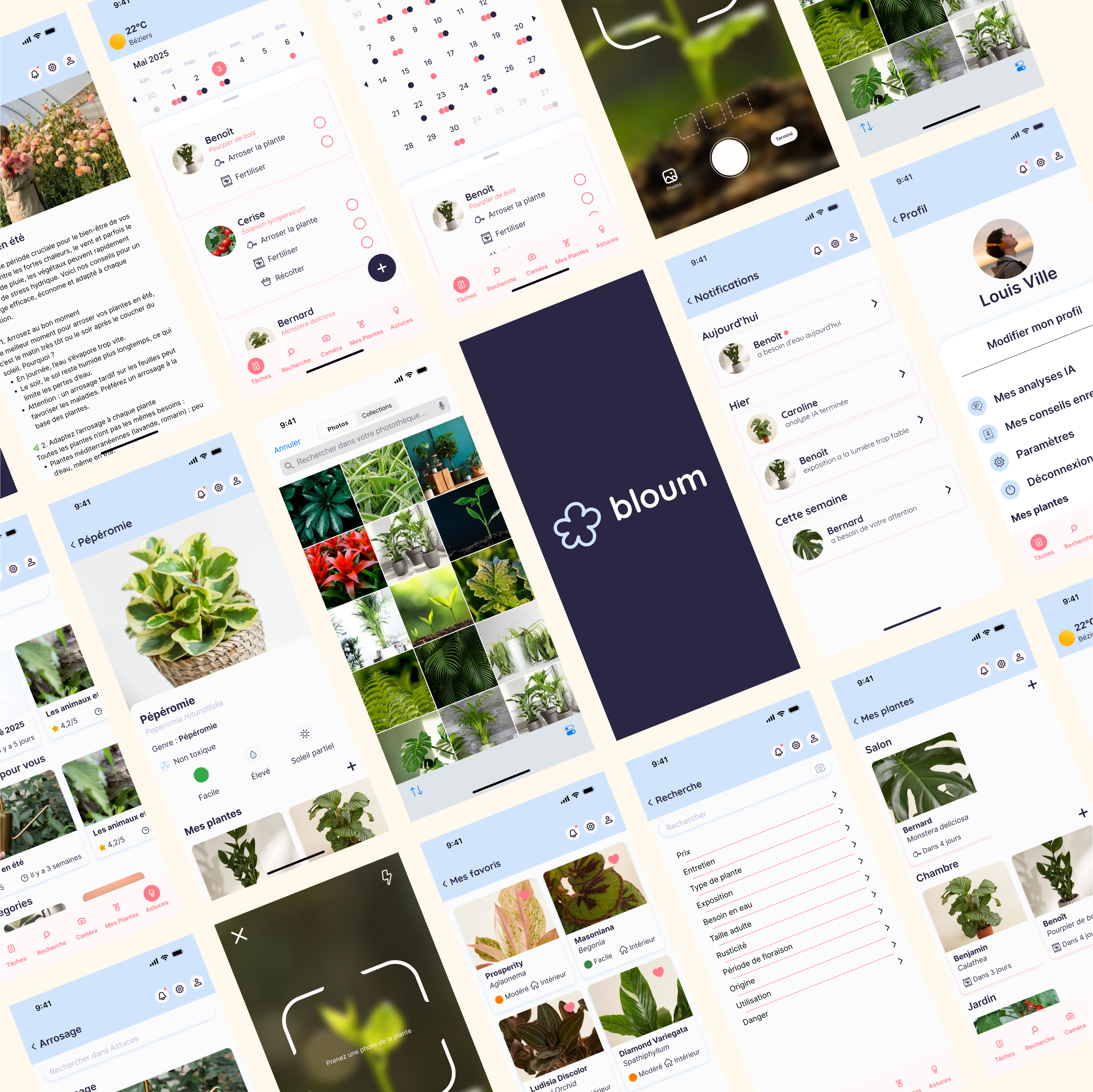 Bloom – Application